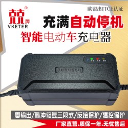 36V48V60V72V зарядное устройство для электромобиля автомобильное зарядное устройство Lvyuan Emma Tailing Xinri Yadi нож
