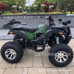 200cc ATV пляжный автомобиль четырехколесный внедорожный мотоцикл вездеходный горный пляжный мотоцикл с плавной регулировкой скорости